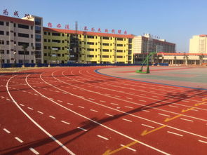 塑膠跑道新選擇 預制型跑道卷材的全面解析