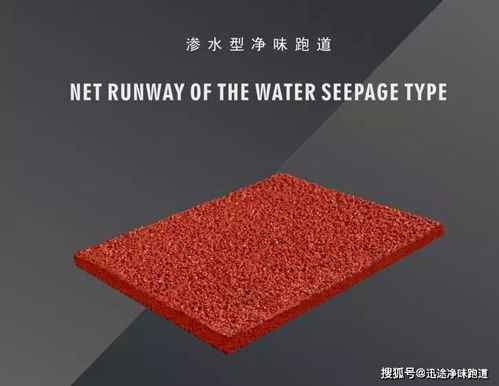 塑膠跑道與預制型橡膠跑道 核心差異與選擇指南